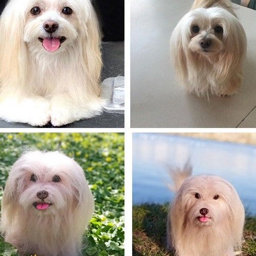 Dog Memorial Pet Loss Gift Custom Stuffed Dog Morkie Mom - Etsy Norway Dog Memorial Pet Loss Gift Custom Stuffed Dog Morkie Mom - Etsy Norway