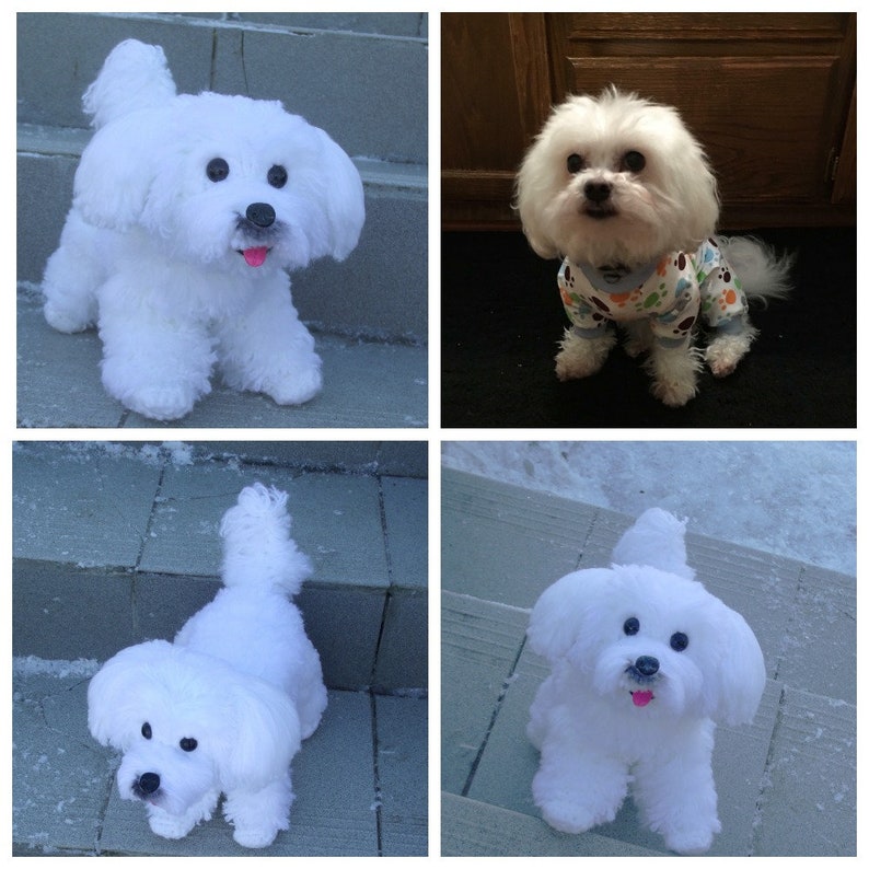 Custom Stuffed Dog Plush Crochet Stuffed Animal Look Like Your Etsy