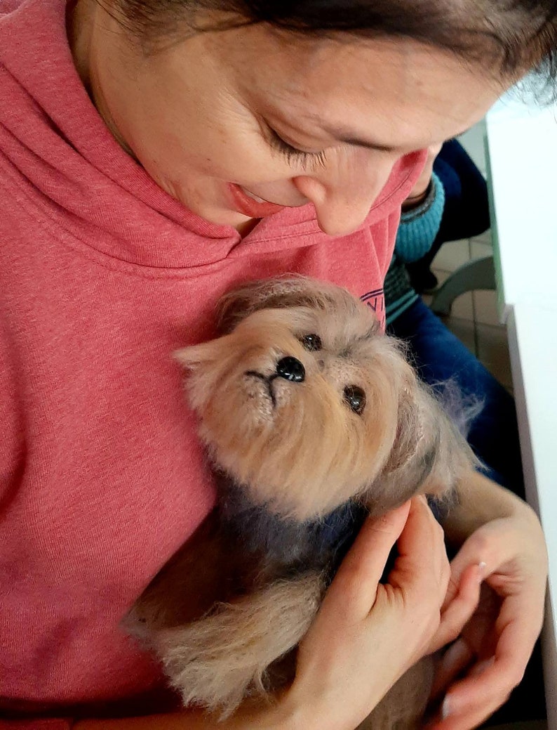 Cuddle Clone Custom Dog Plush Morkie Yorkie Shorkie Gift | Etsy