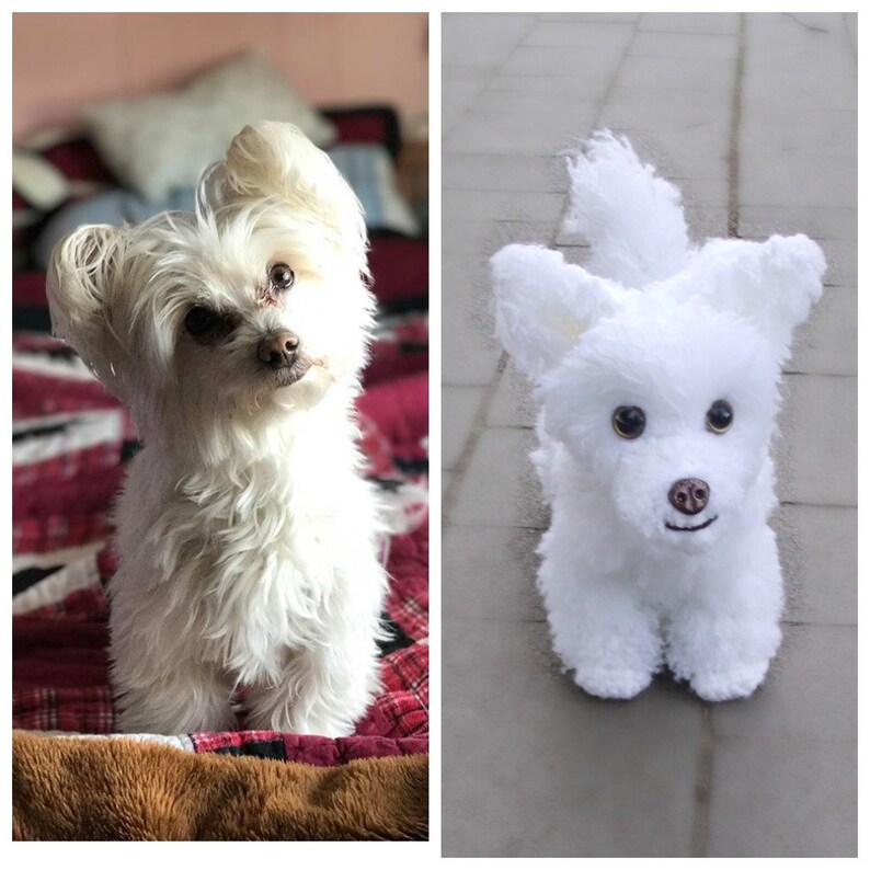 Collana con Bolonka Ciondolo Cane Argento Shih Tzu MEDAGLIETTA PER