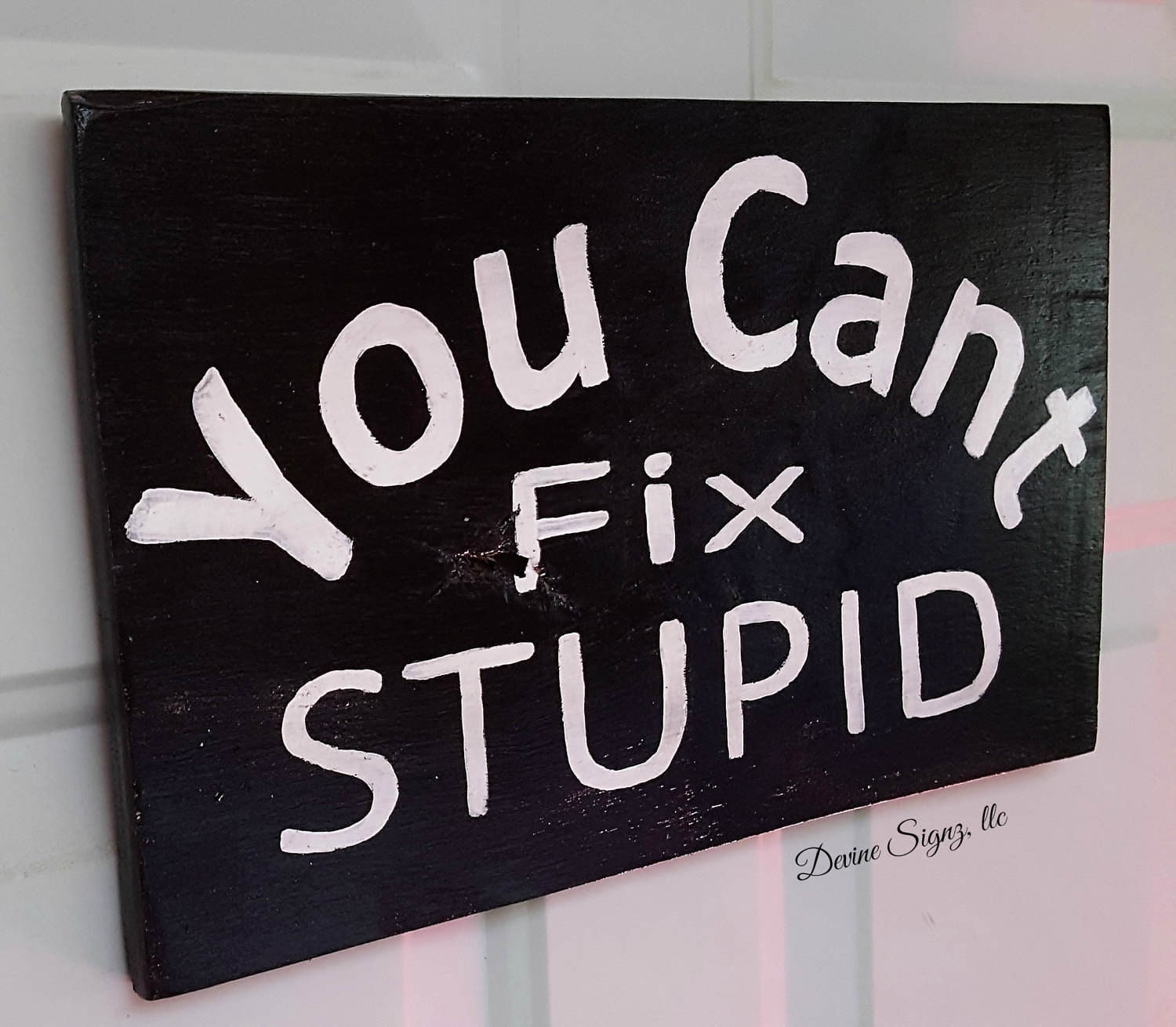 You cant fix stupid sign silly sayings and quotes humorous | Etsy