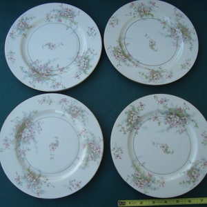 May include: Set of four white ceramic dinner plates with a delicate floral design in shades of pink and green. The plates have a gold rim and a subtle blue background.