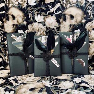 Bookish Blind Date - Dark Edition | Blind Date With A Book | Veiled Novella | Book Lover’s Gift | Dark Romance | Spicy