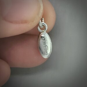 Lipitor charm | PillBling