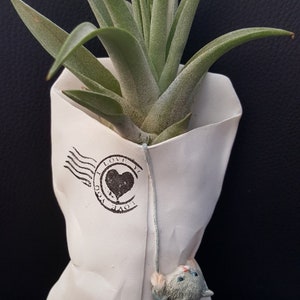 Mini Envelope Cat Chick Wall Planter Fairy Flower pot Succulent Garden Ornament Home Decor