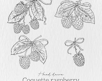 Ribbon Bow SVG Bundle, Rasberry SVG, Bow svg png, Rasberry svg, Bow Tie SVG, Hand Drawn, Illustrations, Coquette Bows Svg Png