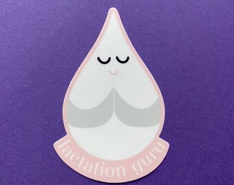 Breastfeeding sticker, IBCLC sticker, water bottle sticker, lactation consultant gift, laptop sticker