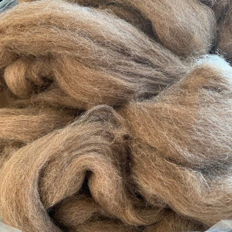 4oz. Shetland roving natural moorit brown