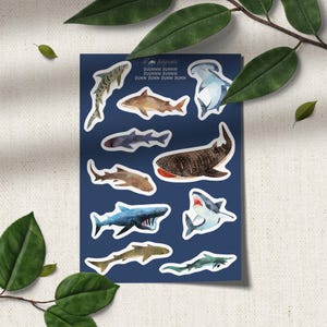 Sharks Vinyl Waterproof Laptop Die Cut Sticker Sheet