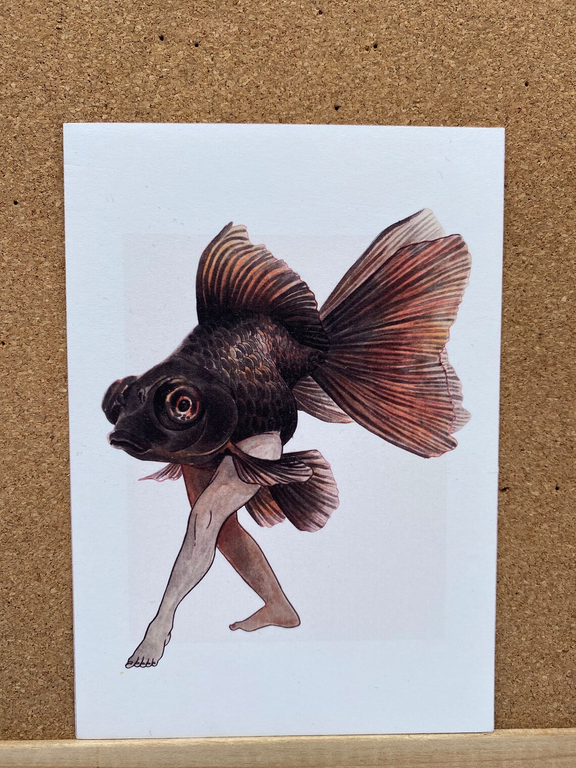 Black Moor Goldfish With Legs Etsy