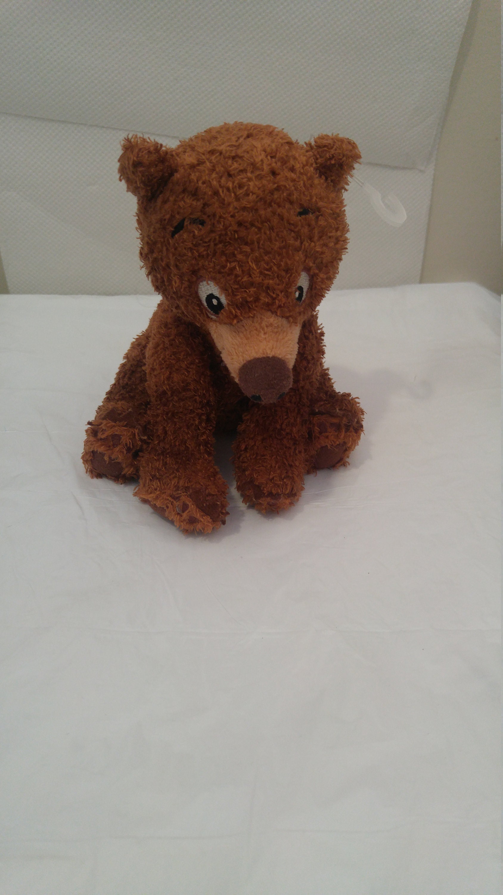 koda bear plush