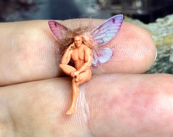 tiny fairy dolls