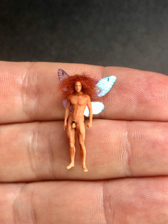 Fairy