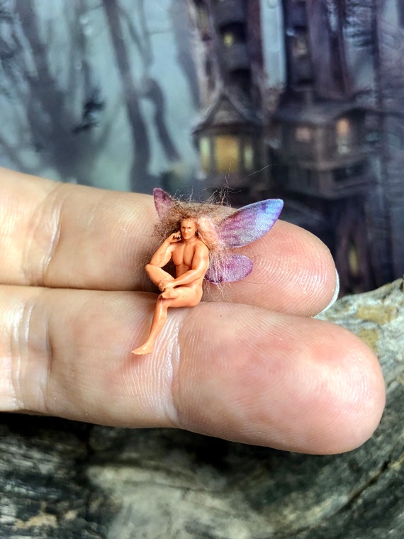 Fairy