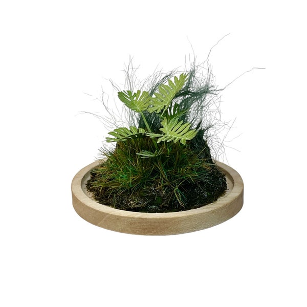 1025 Miniature Realistic Rainforest Display Base in Glass Dome - Unique Tabletop Decor