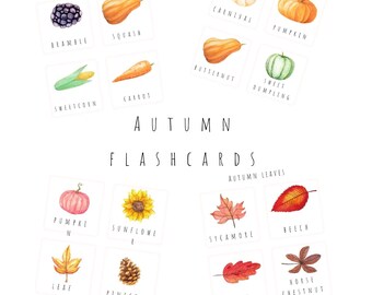 Autumn watercolour flashcards