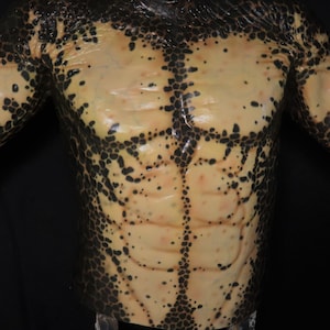 Reptilian Torso- No Armor, Wearable