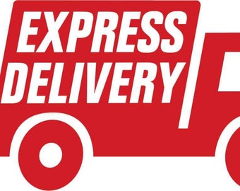 Express Shipping: 2-4Biz Day Delivery + Rush Order With 24 Hrs To Ship Out Your Order for Non-Personalized Products Only