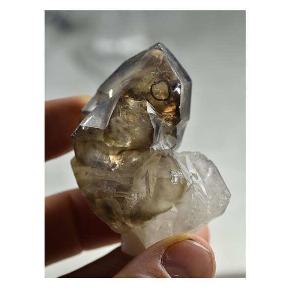 ENHYDRO! Elestial Smoky Quartz crystal specimen from Brazil, all natural