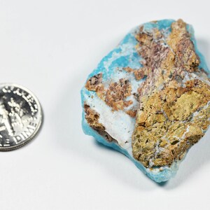May include: A piece of raw turquoise gemstone with a dime for size comparison. The turquoise has a light blue hue with areas of brown and tan matrix. The dime is silver and shows the profile of Franklin D. Roosevelt.