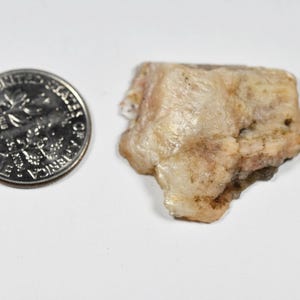 May include: A close-up of a raw, beige-colored mineral specimen next to a U.S. dime coin. The mineral has a rough, uneven texture with hints of pink and brown. The coin is silver and shows the profile of a person.