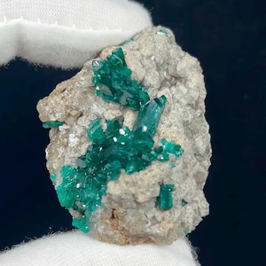 DIOPTASE crystals on matrix cluster from the Republic of Congo(Brazzaville), all natural!