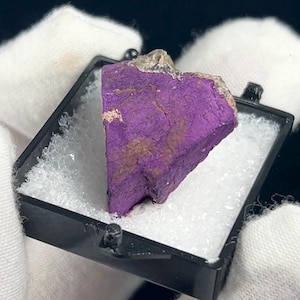 Può includere: Un vibrante campione minerale viola, presentato in una piccola vetrina nera con imbottitura bianca. La pietra ha una superficie ruvida e strutturata con aree marroni e beige. La forma è irregolare, mostrando la sua forma naturale.