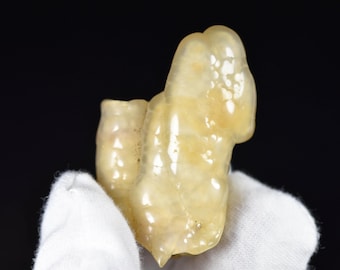 Chalcedon Fossil aus Indonesien! Anpoliertes Exemplar für die Schmuckherstellung oder Sammlungen