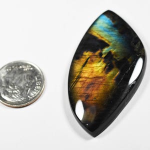 Op de afbeelding: Een marquise-vormige labradoriet edelsteen cabochon met iriserende blauwe en gouden flitsen tegen een donkere basis, geplaatst naast een Amerikaanse kwart dollar munt voor schaal om de relatieve grootte en afmetingen te tonen.