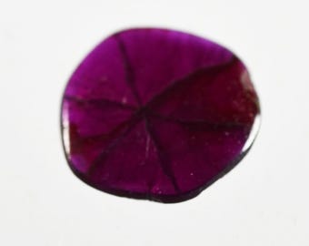 Trapiche Ruby polished slice, Mong Tsu