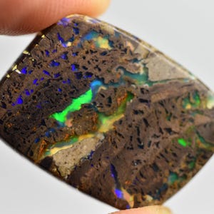 Opaalhout uit cabochon uit Nevada (Virgin Valley), CONK Opaalhout!