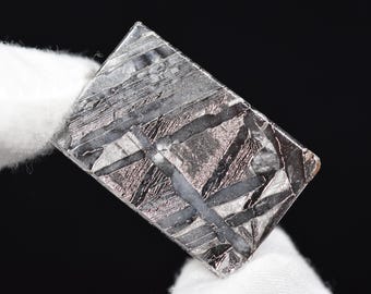 Tranche polie de météorite, localité d'Aletai, parfaite pour des bijoux ou une collection
