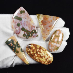 5 Ocean Jasper designer cabochons, top grade material