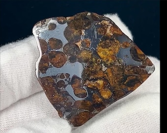Pallasite Meteorite segment, partially polished