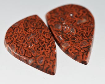 Par de dinosaurios "Gembone", material de alta calidad