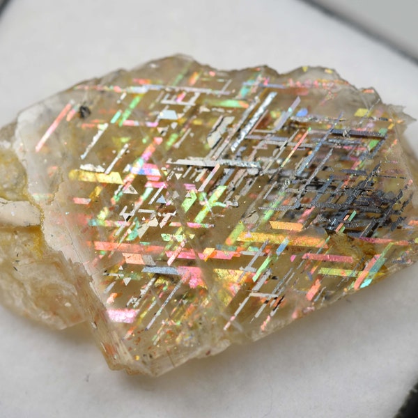 Rainbow Lattice Sunstone from Australia! TOP GRADE specimen