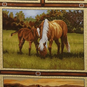 Quilt stoffen paneel Hold Your Horses ~ Studio E Fabrics