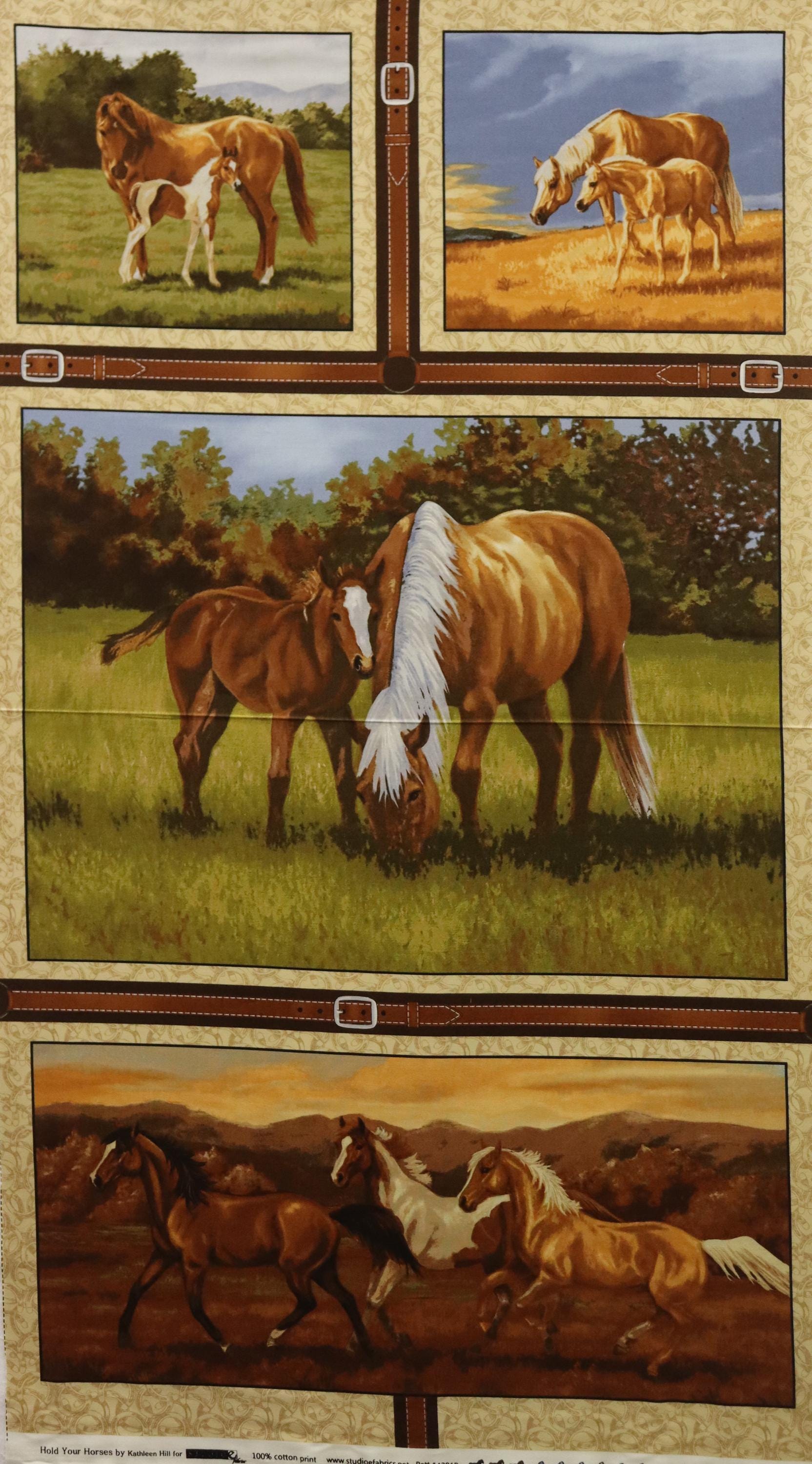 Hold Your Horses Quilt Fabric Panel ~ Studio E Fabrics