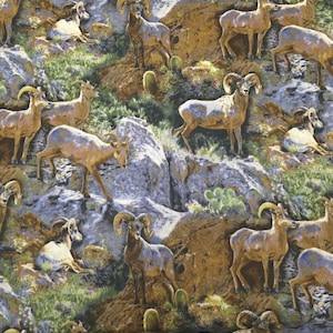 Tessuto per trapunta Rocky Grandeur Big Horn Sheep di Springs Creative