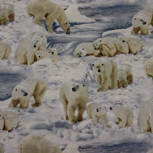 Polar Bears Quilt Fabric  by Elizabeth Studios