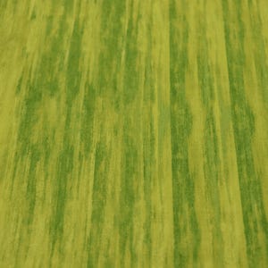 Saturn Stripes Lime Green Quilt Fabric  By Kanvas Studios