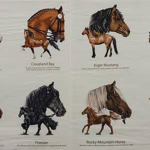 Panel quiltstof paardenrassen van Elizabeth Studios
