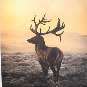 Call of the Wild &quot;Sunset&quot; Fabric Panel