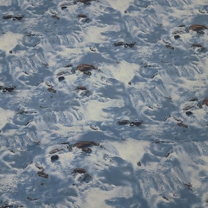 Landscape Medley Blue 175 Water and Rocks Quilt Fabric  By Elizabeth Studios