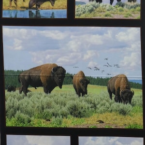 Buffalo quiltstof paneel van Elizabeth Studio