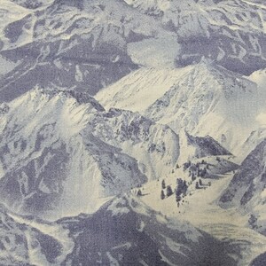 Blue Mountain Blender &#39;Winter Gathering&#39;-quiltstof van Northcott Fabrics