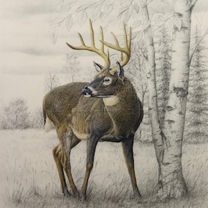 Big Game Whitetail Deer Panel Riley Blake Fabrics