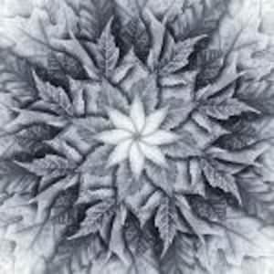 Peut inclure: Un motif symétrique avec une fleur blanche au centre entourée de feuilles grises. Les feuilles sont disposées en cercle, créant une impression de profondeur et de mouvement.