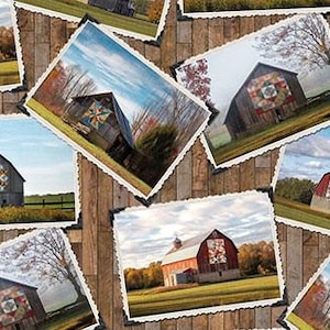Barn Quilts Barn Postcards Tessuto per trapunte di Northcott Fabrics