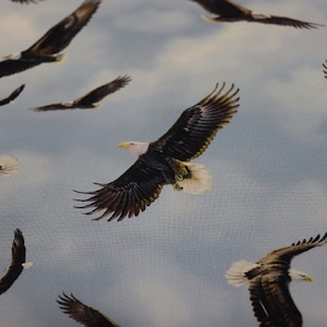 Quiltstof Winged Glory Blue Eagle Toss van Northcott Fabrics